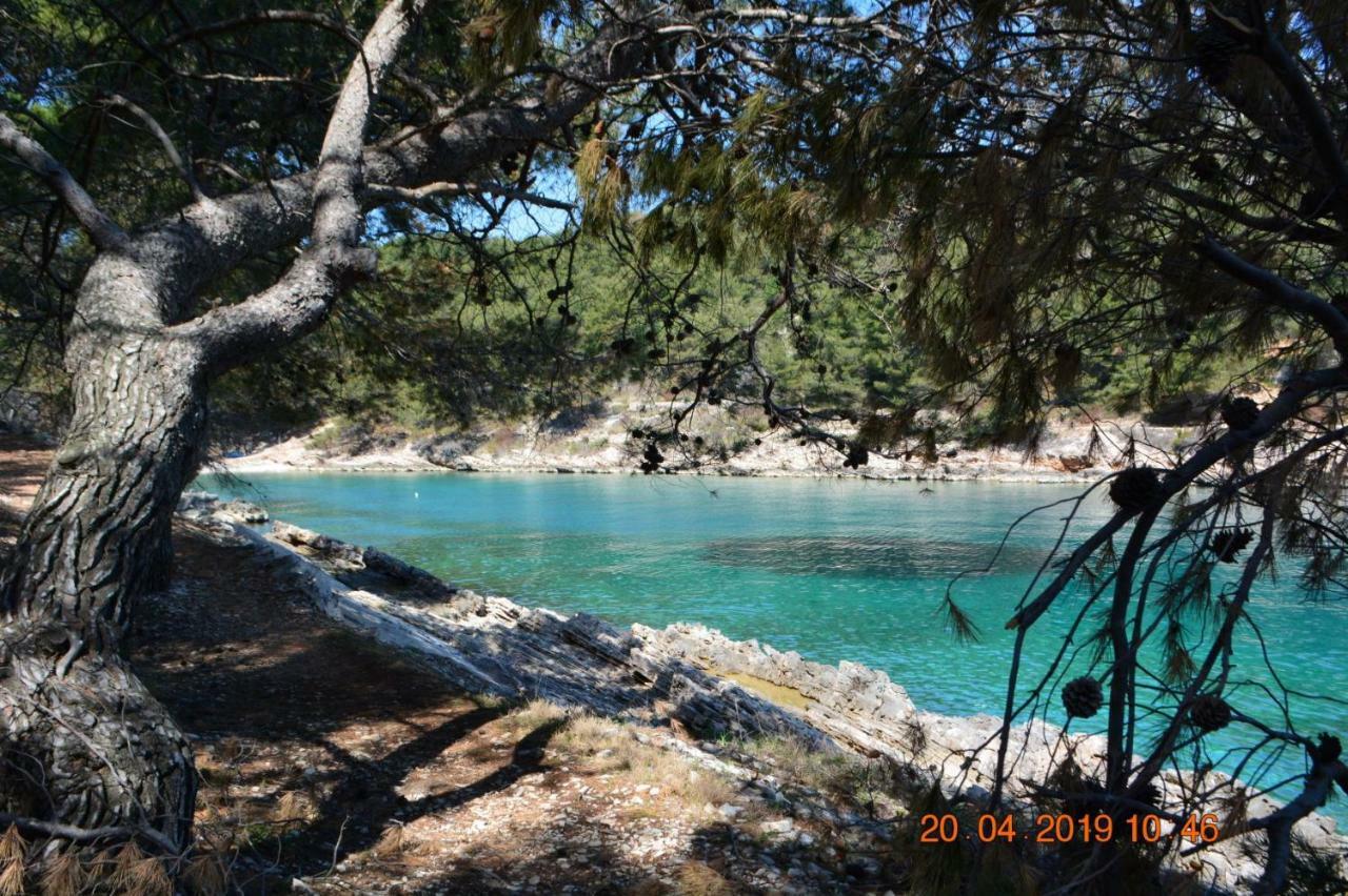 Sealodge - Luxe Villa, Private Pool, Mooring, Parking, Sea & Mountain View, At 150 M From Idyllic Private Beach Rogač 外观 照片