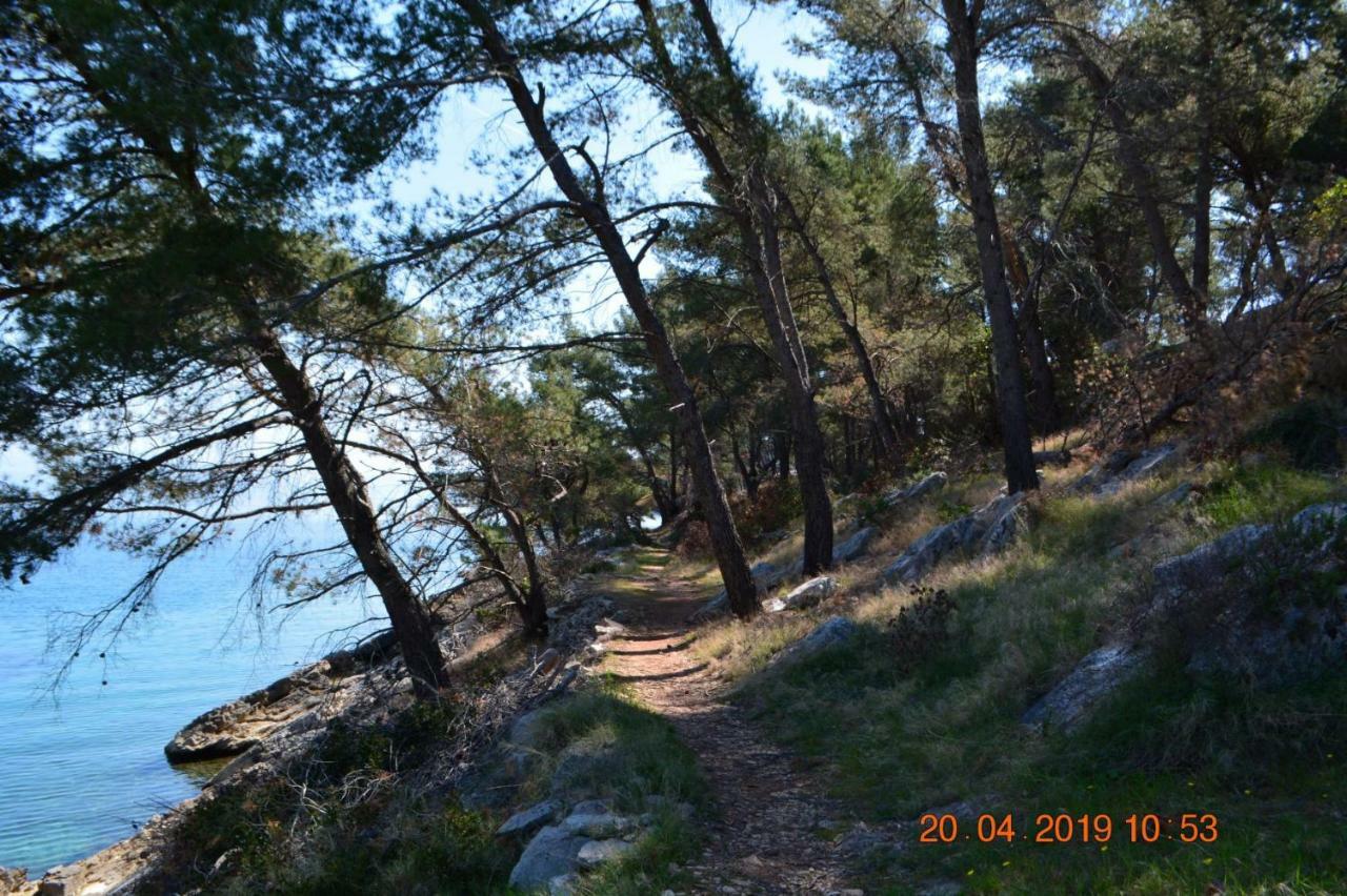 Sealodge - Luxe Villa, Private Pool, Mooring, Parking, Sea & Mountain View, At 150 M From Idyllic Private Beach Rogač 外观 照片
